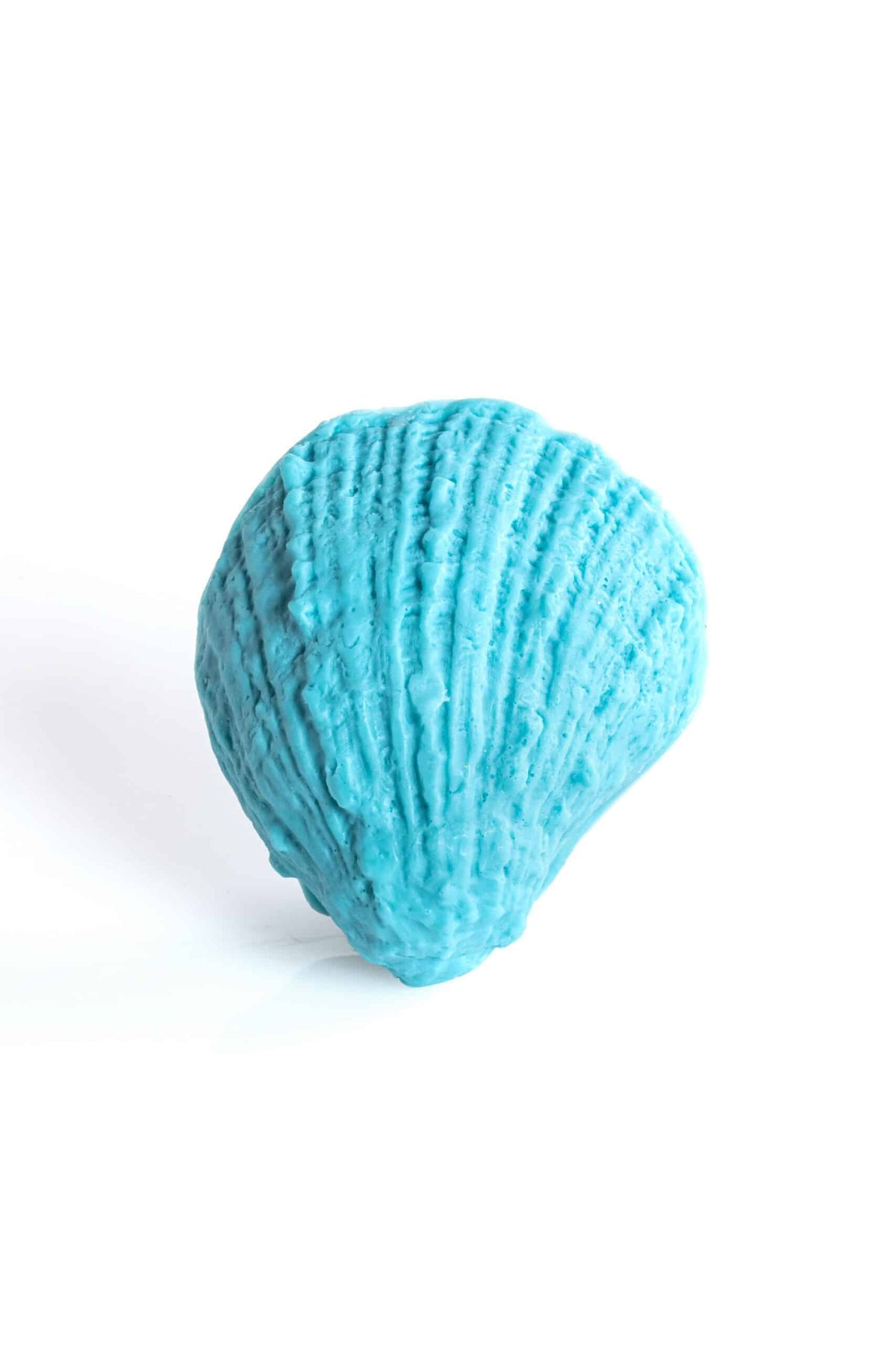 Large shell (2D) - available in all colors
