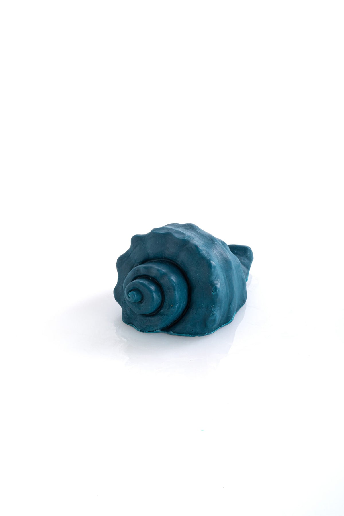מארז כל הצדפים