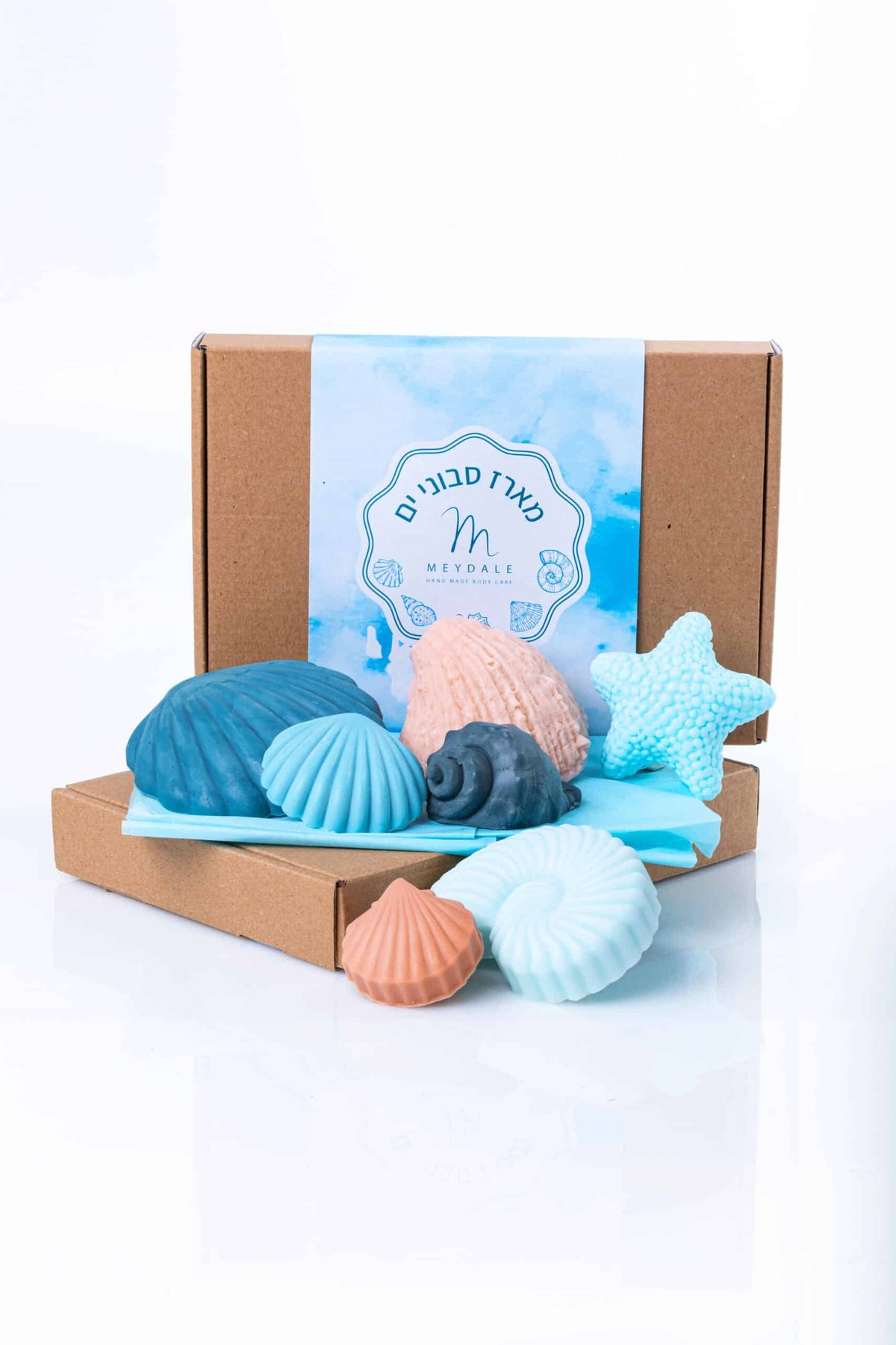 All the Shells Pack