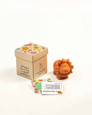 Surprise box with lion soap