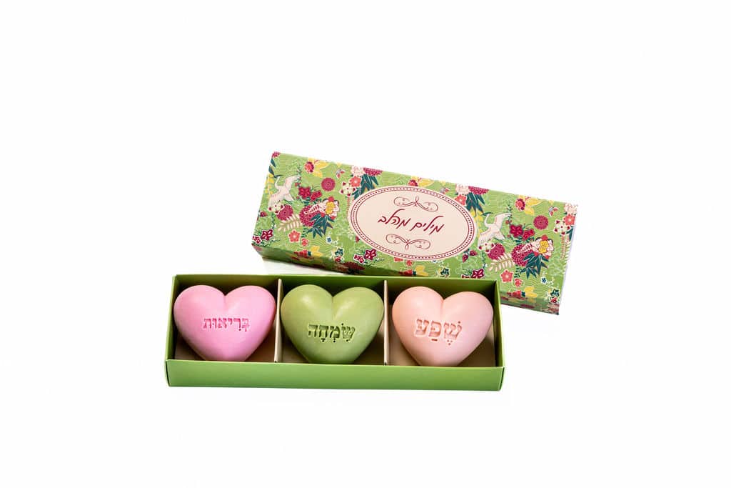 Heart Soap Box "Words from the Heart" Green and Red Floral Model