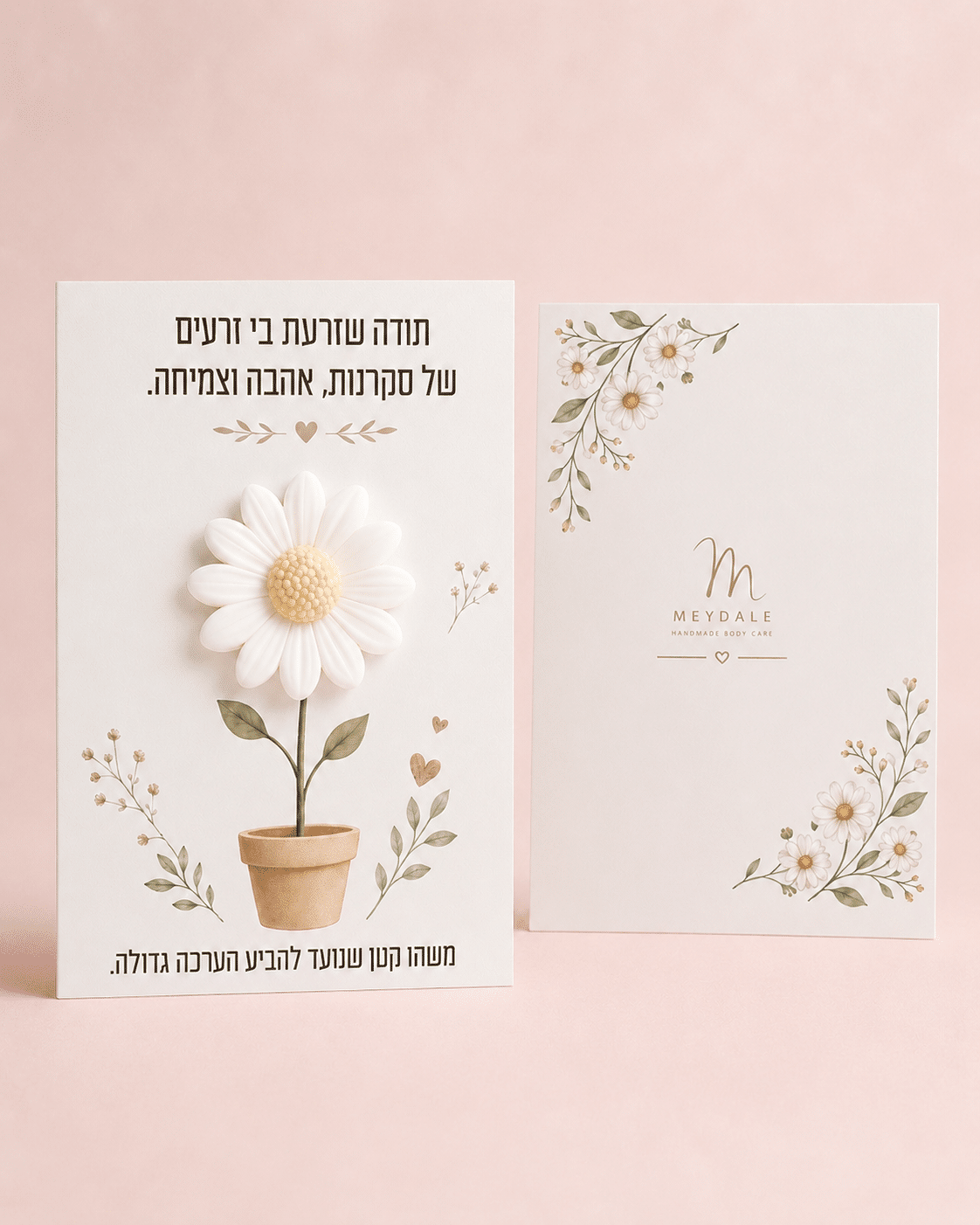 מארז 10 כרטיסים מתנה עם סבון – תודה שזרעת בי זרעים של סקרנות